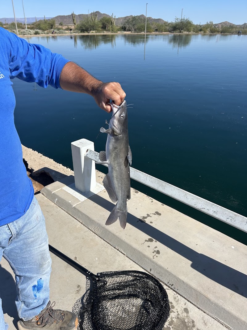Paloma Community Park Fishing Lake photo 5
