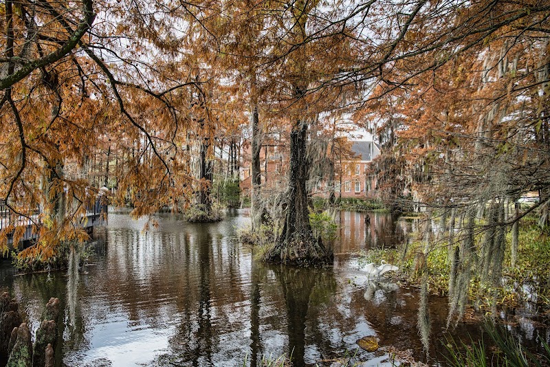 University of Louisiana Lafayette photo 5