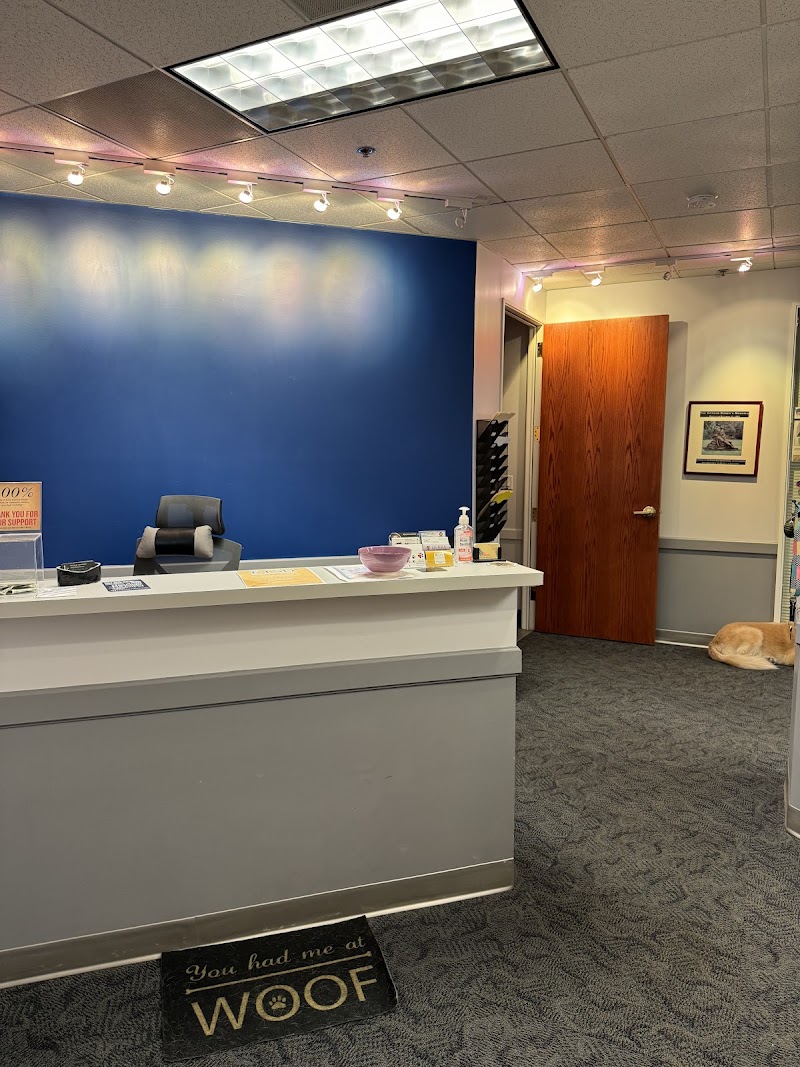 E5 Therapy photo 3
