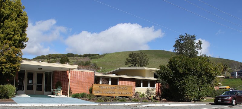 Terra Mandarin Preschool photo 3