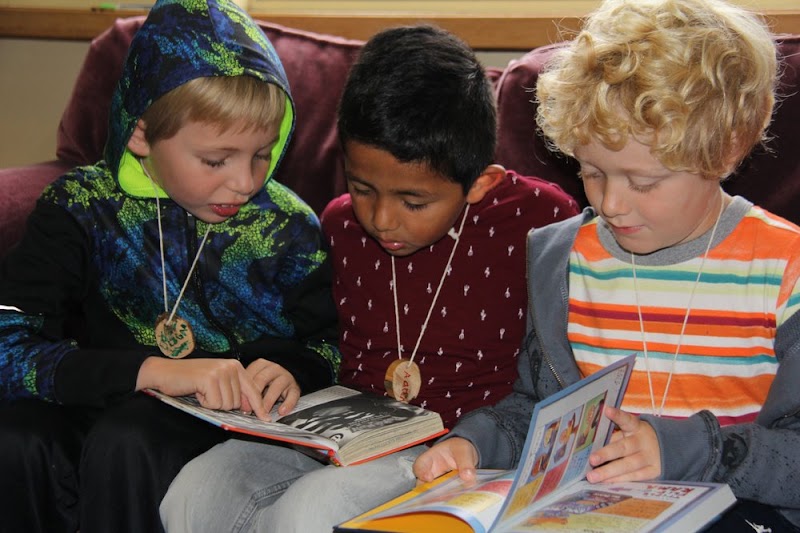Terra Mandarin Preschool photo 5
