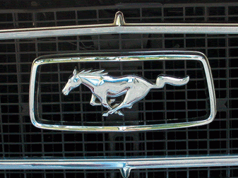 Mustang Brothers photo 3