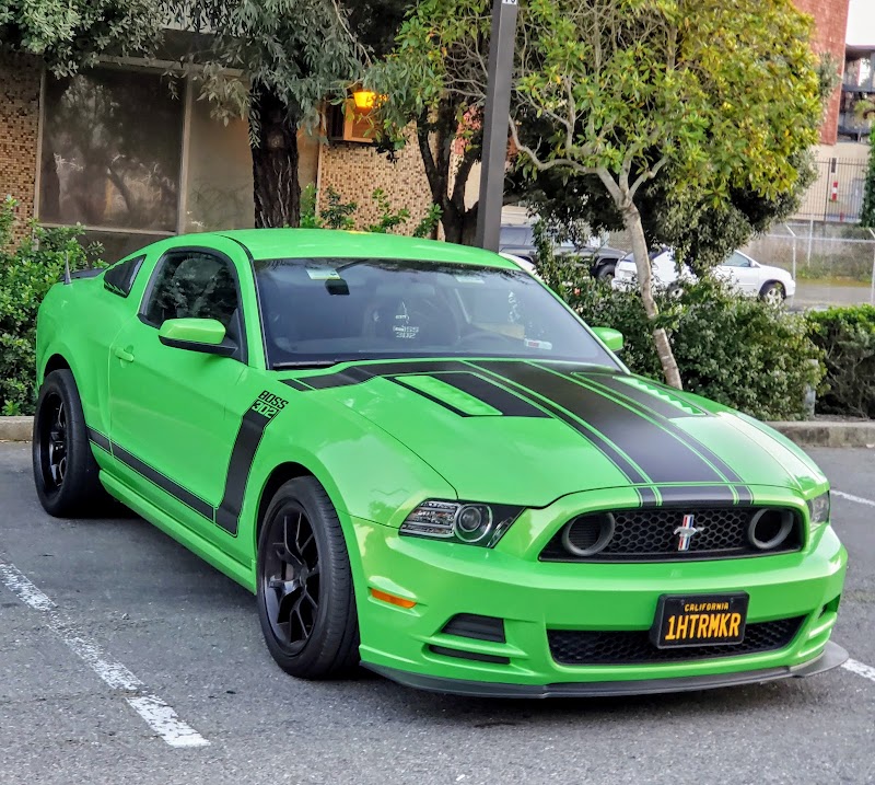 Mustang Brothers photo 4