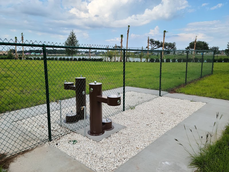 Lake Harlow Canine Park photo 3