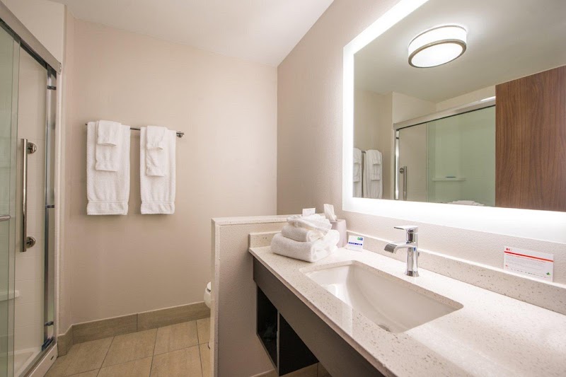 Holiday Inn Express & Suites Tampa North - Wesley Chapel by IHG photo 4