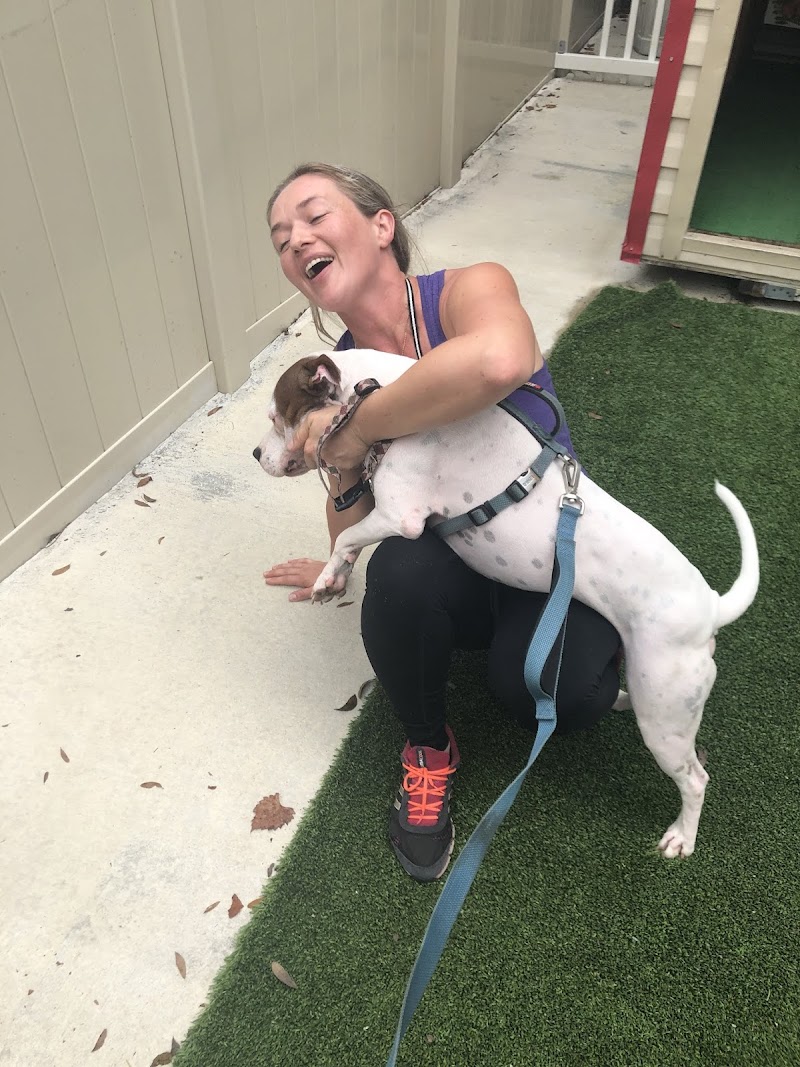 AAA Pet Resort photo 3