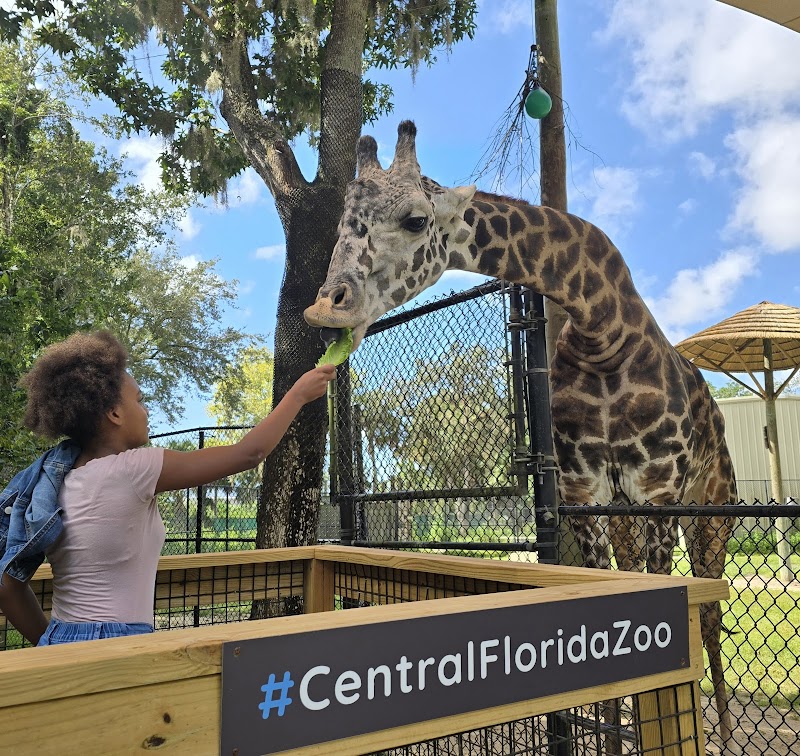 Central Florida Zoo & Botanical Gardens photo 2