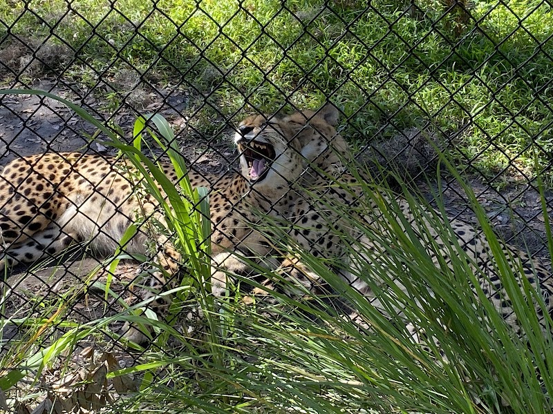 Central Florida Zoo & Botanical Gardens photo 5