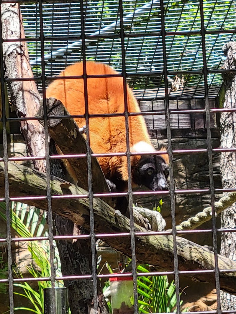 Central Florida Zoo & Botanical Gardens photo 4
