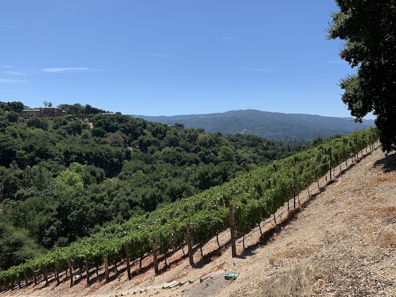 Photo of Prolific Vines Vineyard