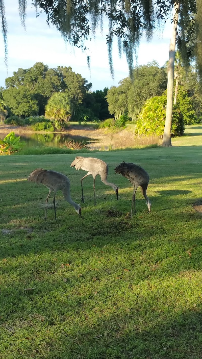 Lake Wales Country Club photo 2