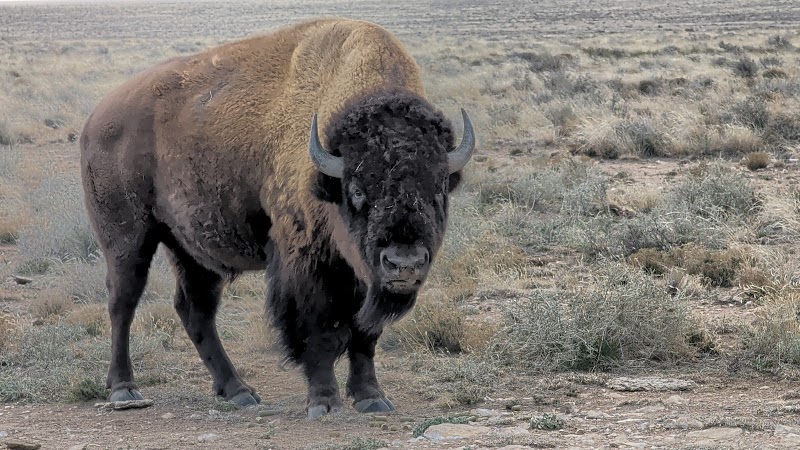 Photo of Raymond Wildlife Area- Arizona Game and Fish Department