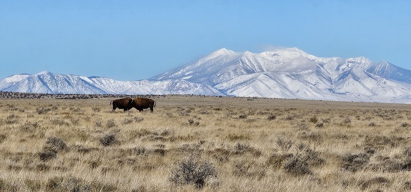Raymond Wildlife Area- Arizona Game and Fish Department photo 3