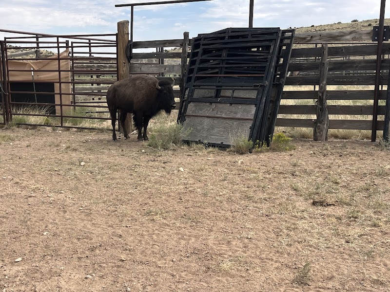Raymond Wildlife Area- Arizona Game and Fish Department photo 5