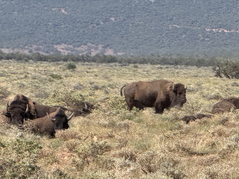 Raymond Wildlife Area- Arizona Game and Fish Department photo 4
