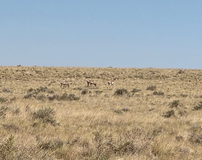 Raymond Wildlife Area- Arizona Game and Fish Department photo 2