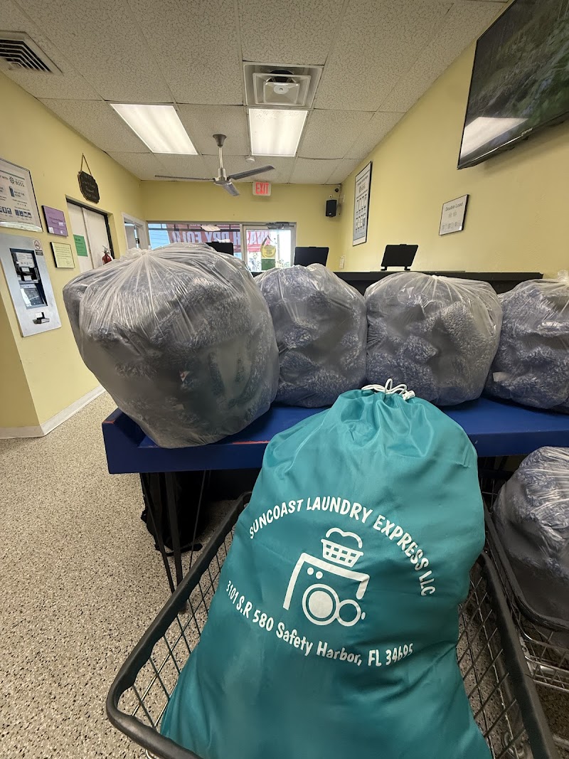Suncoast Laundry Express LLC photo 5