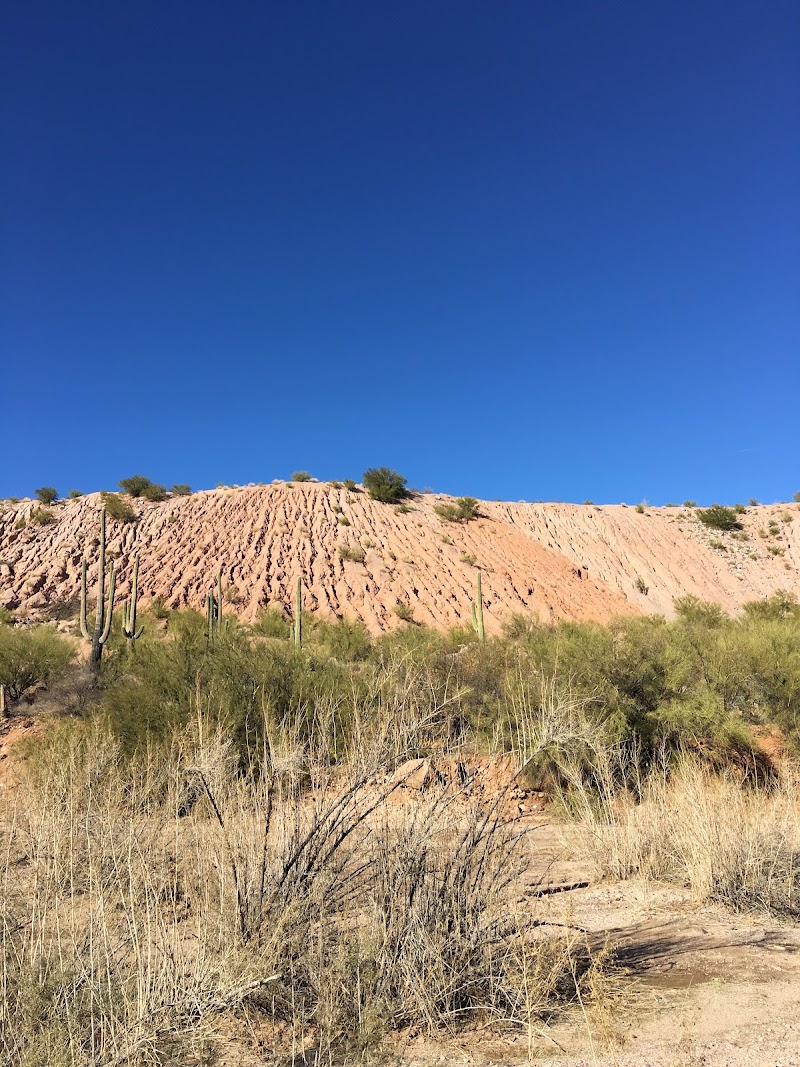Lower San Pedro River State Wildlife Area photo 4