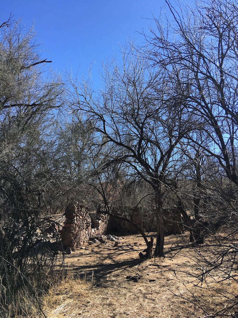 Lower San Pedro River State Wildlife Area photo 5