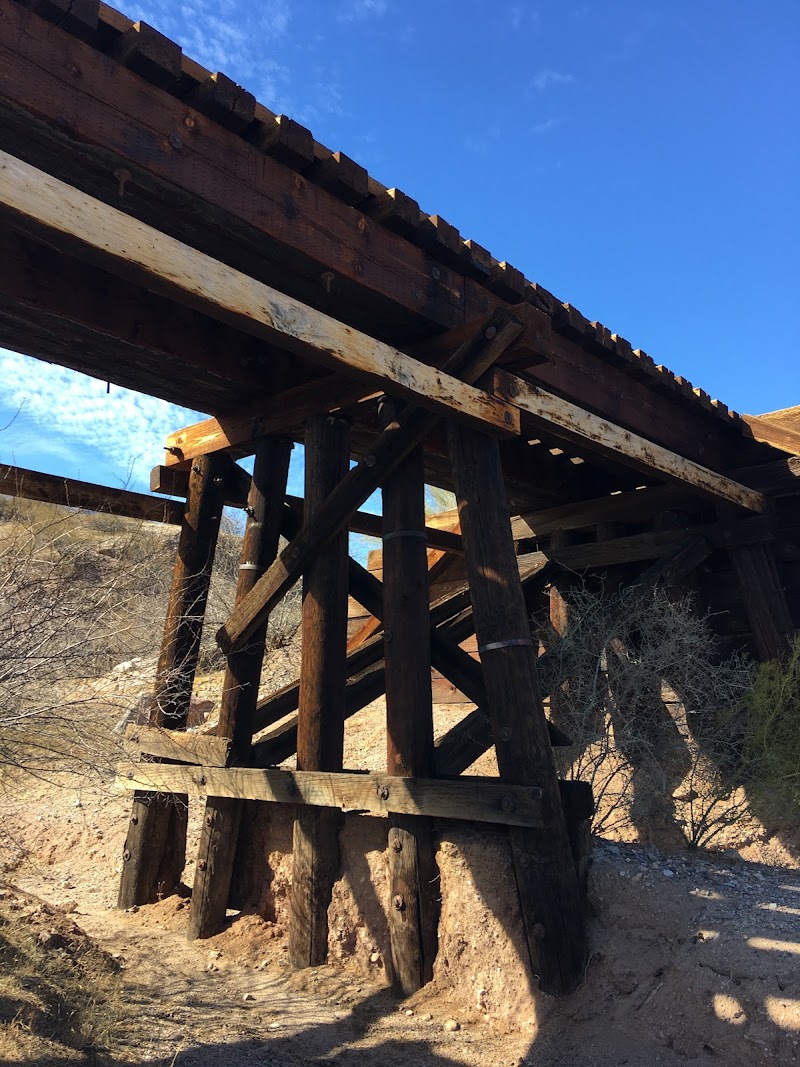 Lower San Pedro River State Wildlife Area photo 2