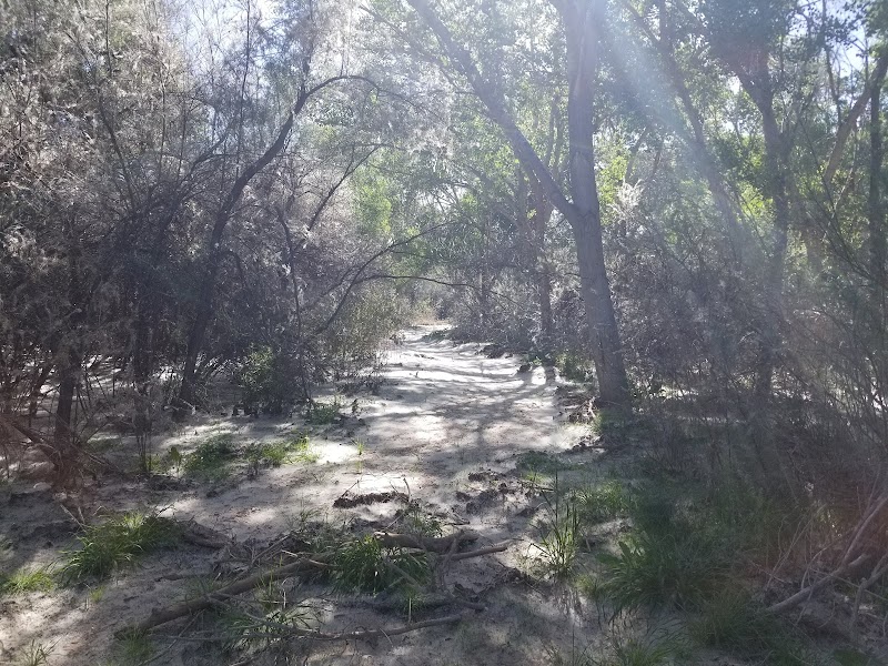 Lower San Pedro River State Wildlife Area photo 3