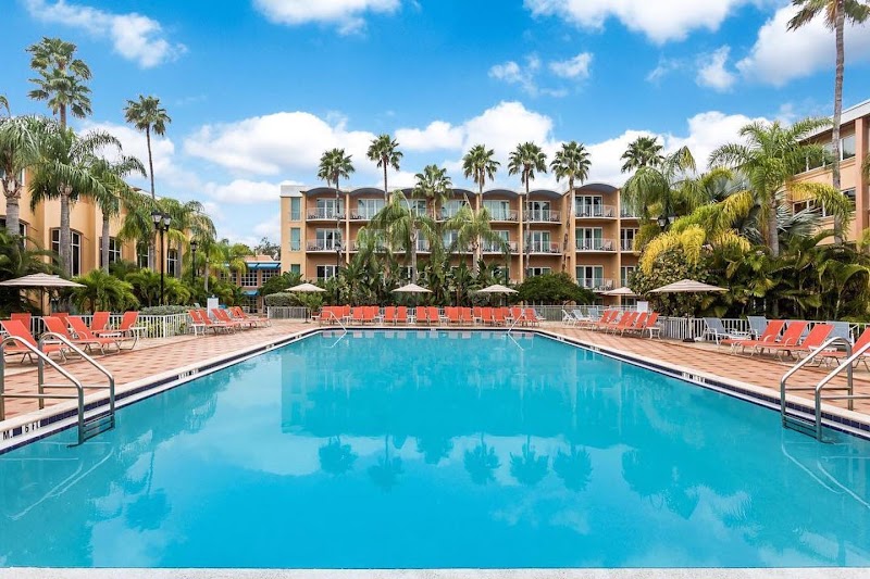 Safety Harbor Resort and Spa photo 3