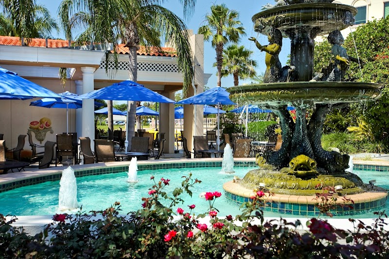 Safety Harbor Resort and Spa photo 5