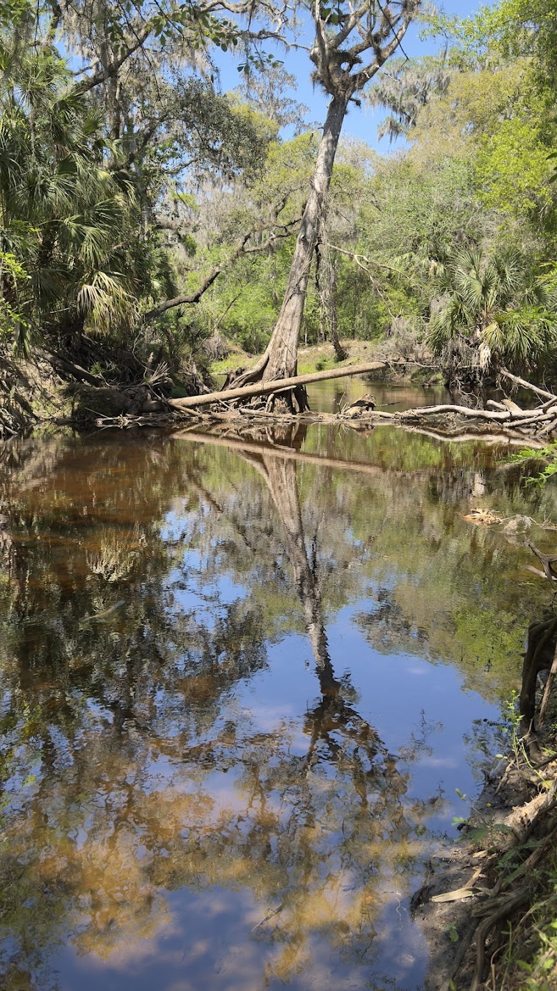 Aldermans Ford Nature Preserve photo 4
