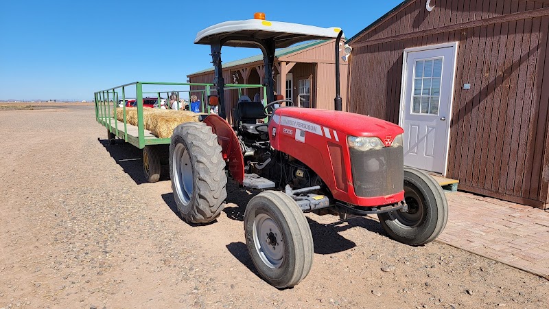 Caywood Cotton Farms photo 2