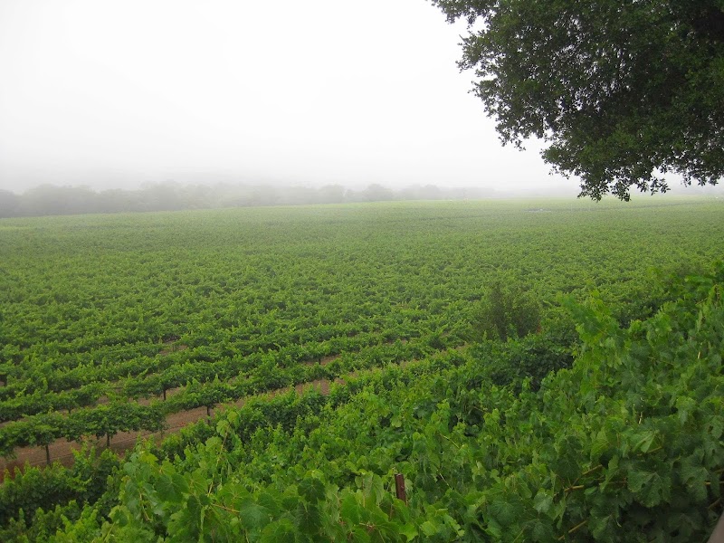 Wine Road photo 4
