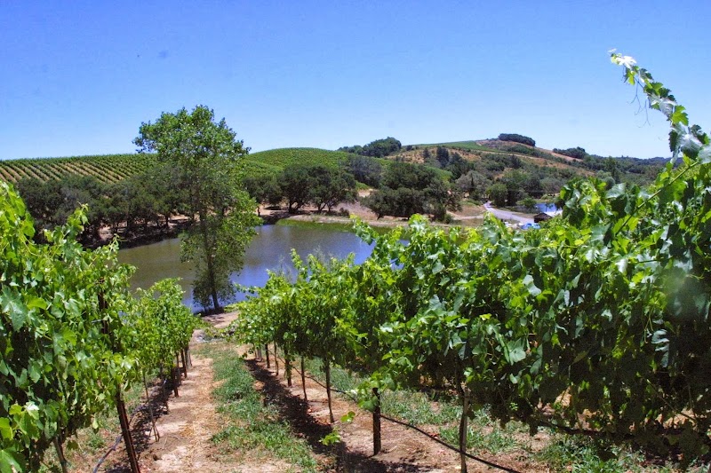 Photo of Wine Road