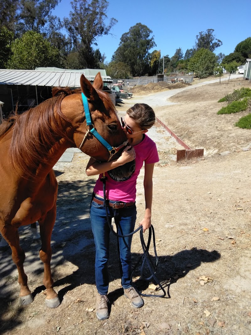 Photo of Windhorse Ranch