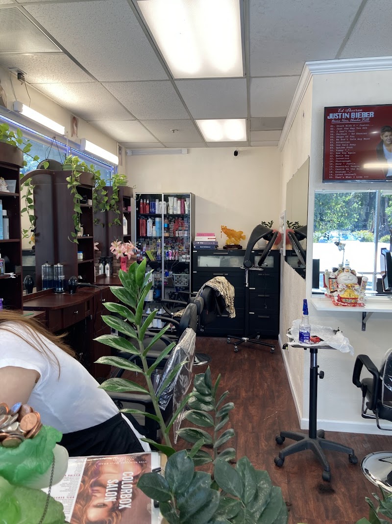 Colorbox Salon photo 4