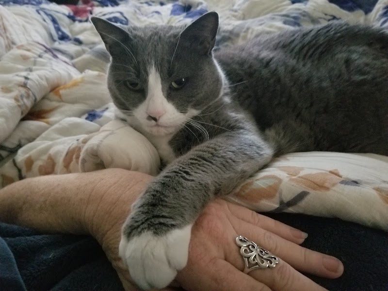 All My Love Pet Care photo 2