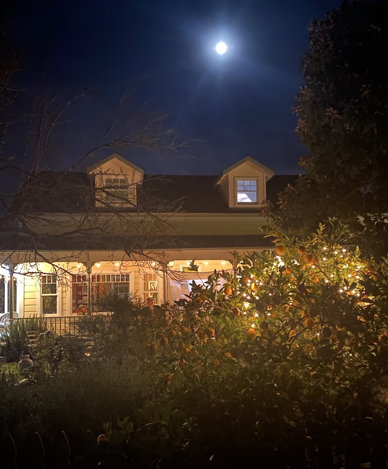 Photo of The Yellow House