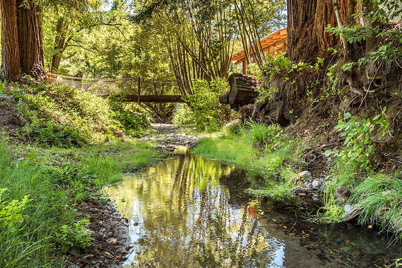 Forest View Ranch photo 2