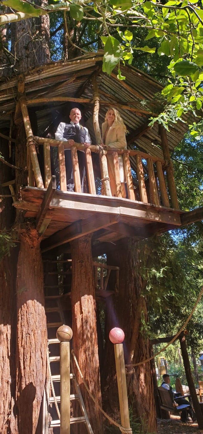 Photo of Forest View Ranch