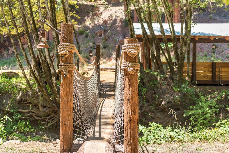 Forest View Ranch photo 4
