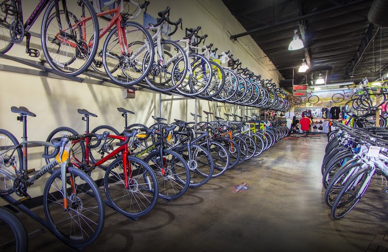 Global Bikes & E-Bikes - Chandler photo 2