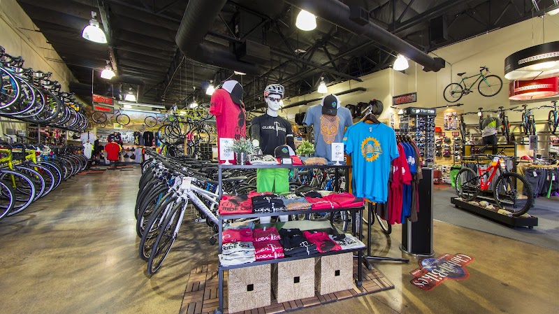 Global Bikes & E-Bikes - Chandler photo 3