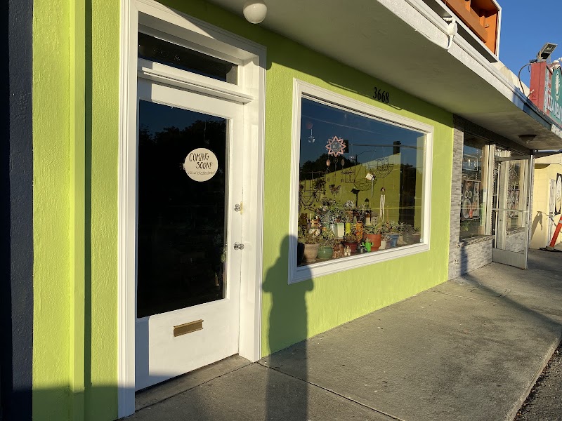 Photo of Villa Roma Pizza