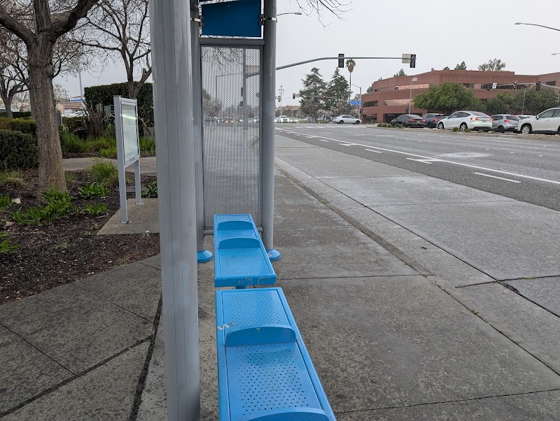 Stevens Creek & De Anza photo 3