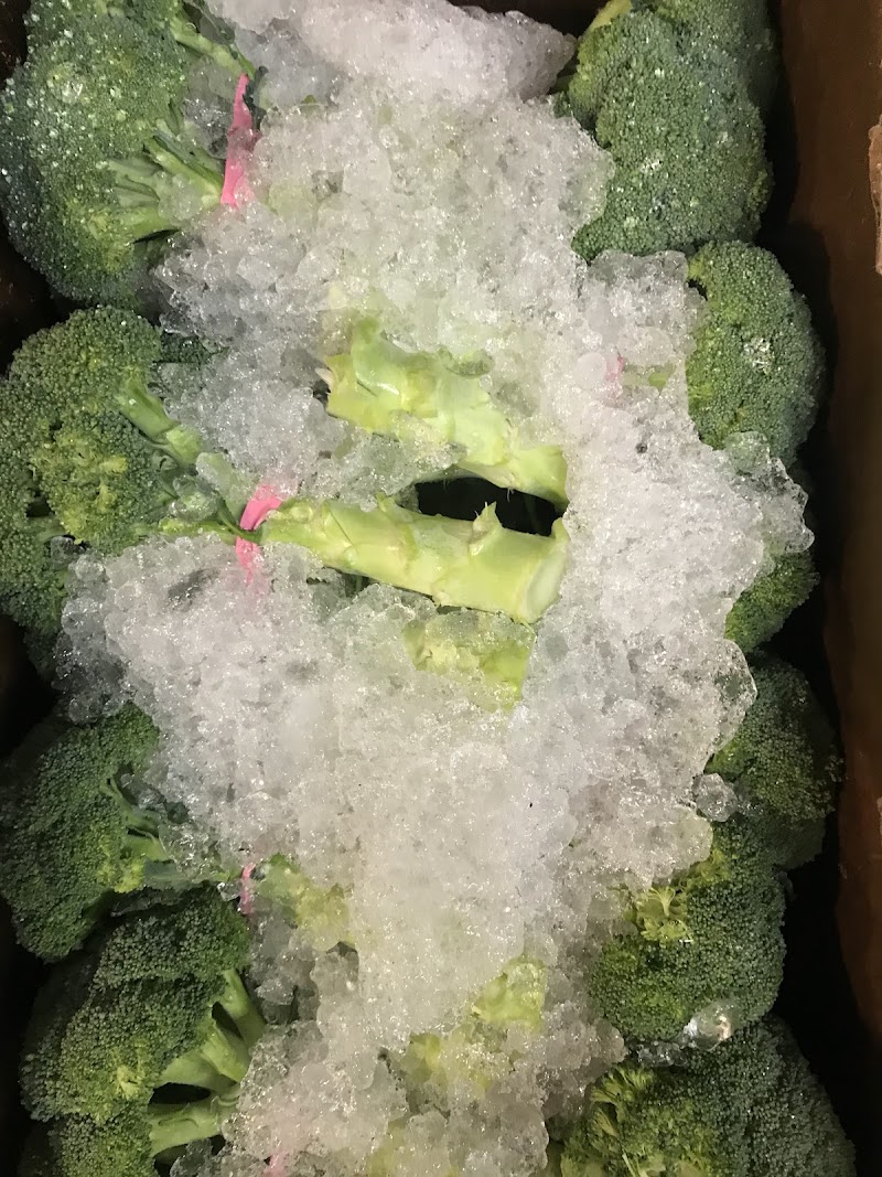 Rockos Produce Inc photo 3