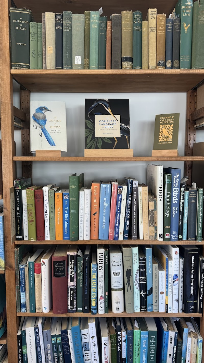 Buteo Books photo 5