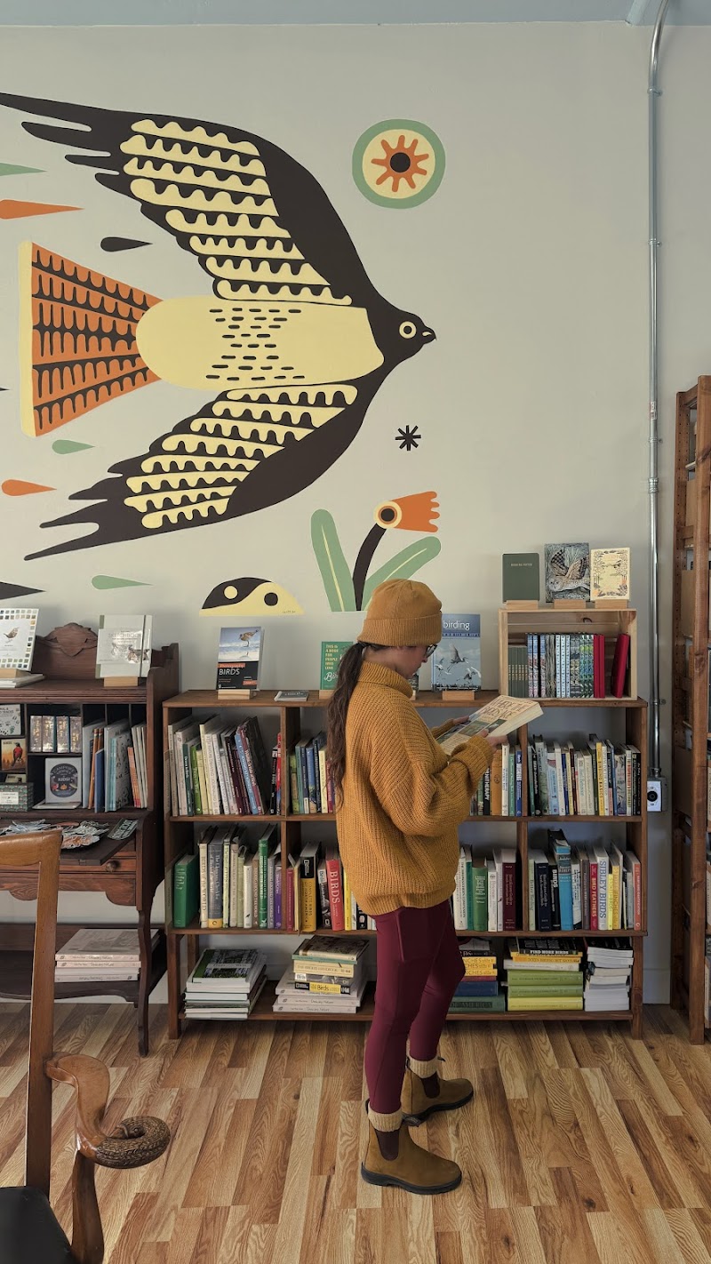 Buteo Books photo 2