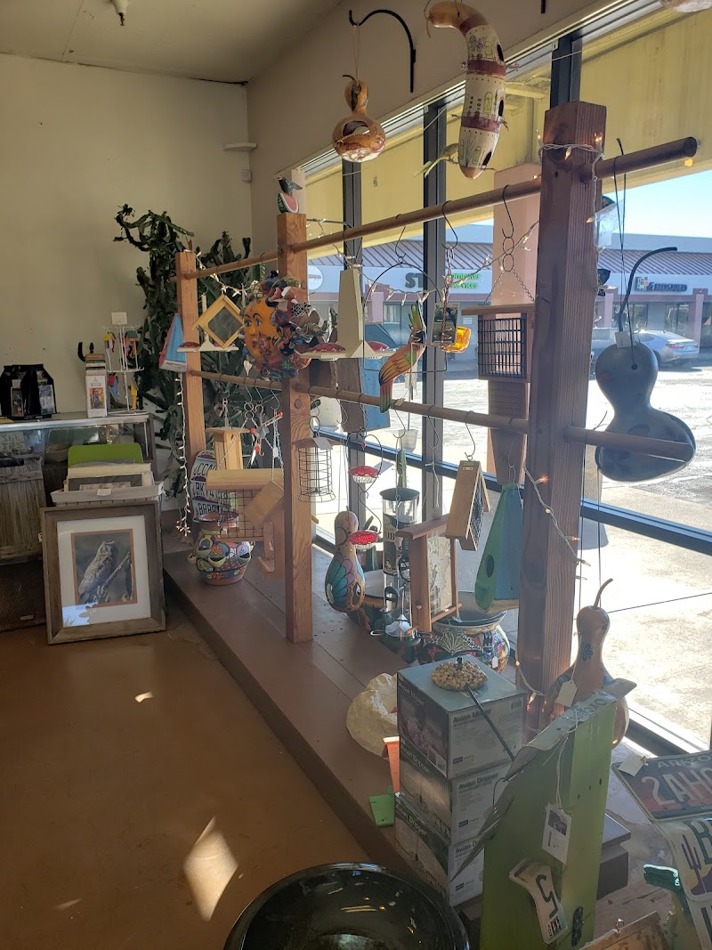 Wild Bird Store photo 5
