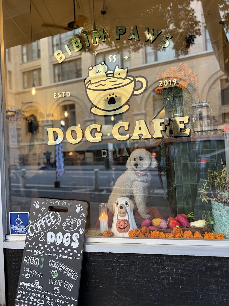 Photo of Bibim Paws Dog Cafe