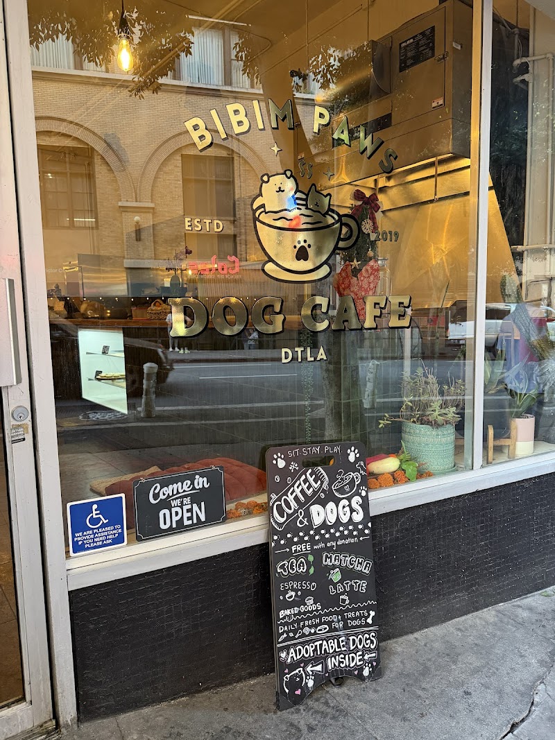 Bibim Paws Dog Cafe photo 2