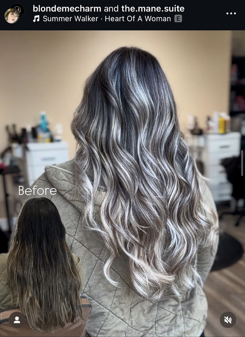Photo of The Mane Suite