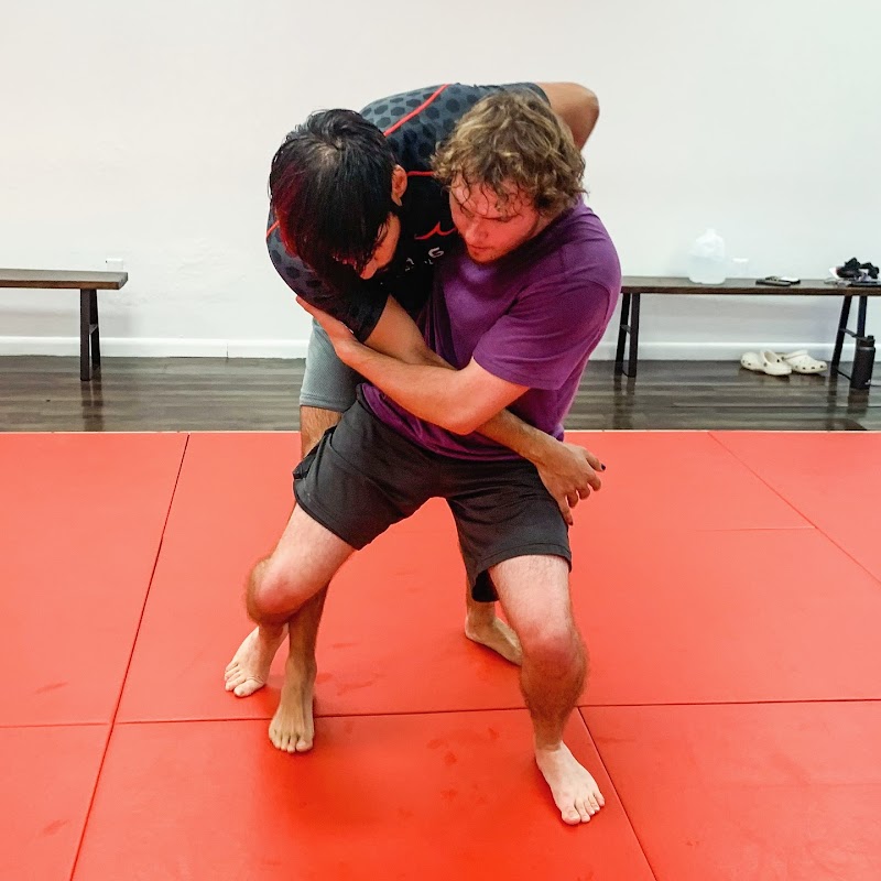 Blast MMA photo 2